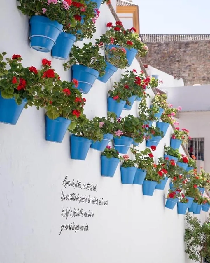 Amazing Apartment ,Center Of Marbella, Beach 338